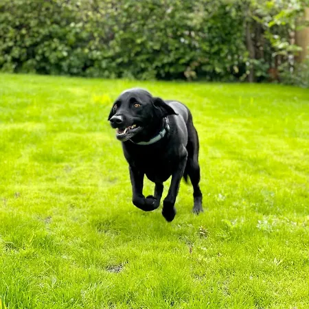 Σπίτι διακοπών Rye Court Helmsley