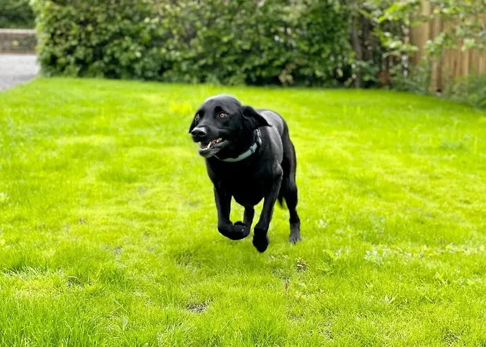 펜션 Rye Court 헴슬리